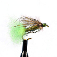 Little green caddis pupa