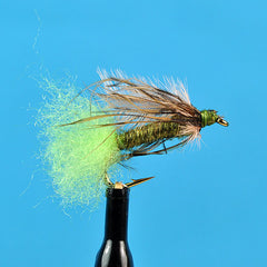 Little green caddis pupa