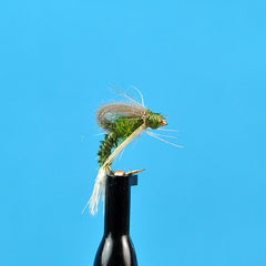 Cdc loopwing emerger bwo