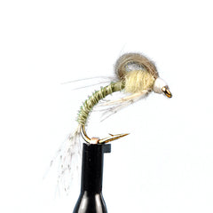 CDC loopwing emerger pmd