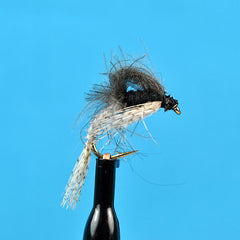 Cdc loopwing emerger trico