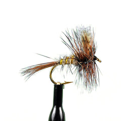 American march brown