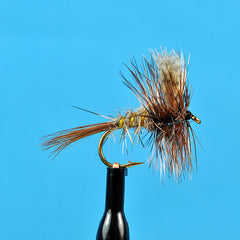 American march brown