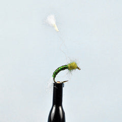 Parasol midge emerger olive