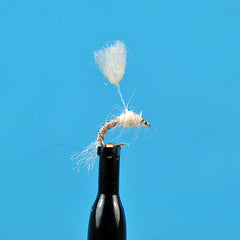 Parasol midge emerger white