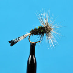 Badger hackle peacock