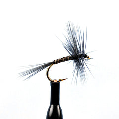 Blue wing olive quill body