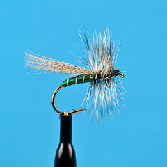 Canadian sedge