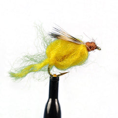 Sparkle caddis pupa amber