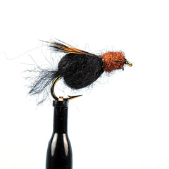 Sparkle caddis pupa black