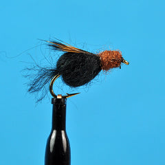 Sparkle caddis pupa black