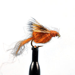 Sparkle caddis pupa brown