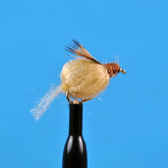 Sparkle caddis pupa tan