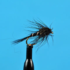 Black Large nymph