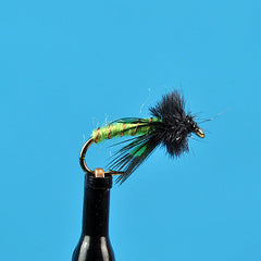 Little green caddis pupa