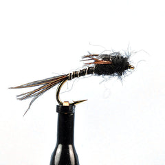 Micro mayfly black