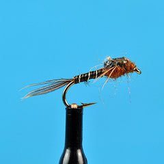 Micro mayfly brown