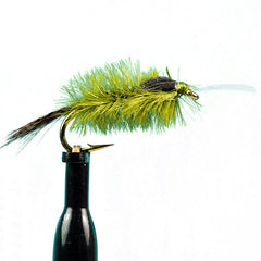 Ostrich blue wing olive