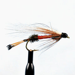 Royal coachman streamer