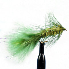 Woolly bugger olive