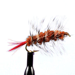 Woolly Worm Brown