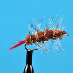 Woolly Worm Brown