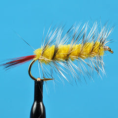 Woolly worm yellow
