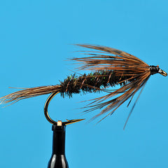 Carey special wet fly