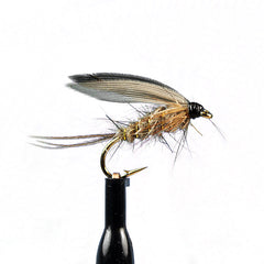 March brown wet fly