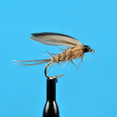 March brown wet fly