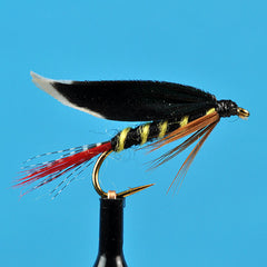 Mcginty wet fly