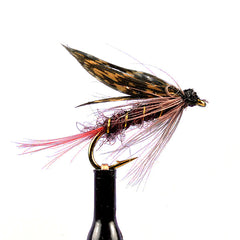 Montreal wet fly